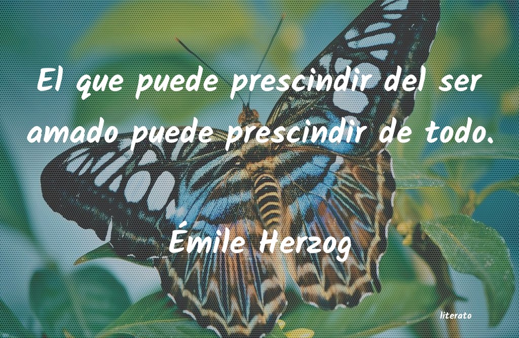 Frases de Émile Herzog