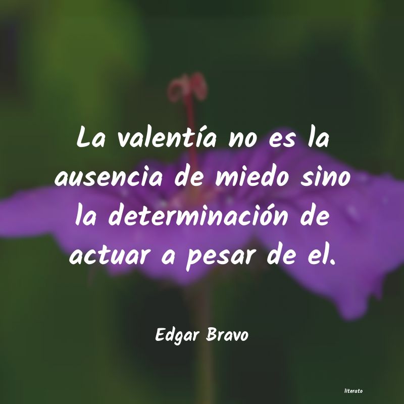 Frases de Edgar Bravo