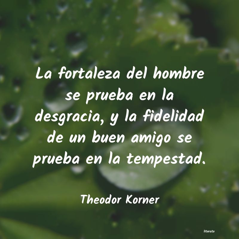 Frases de Theodor Korner