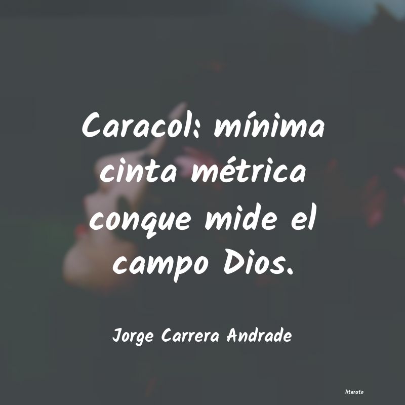 frases de Jorge Carrera Andrade