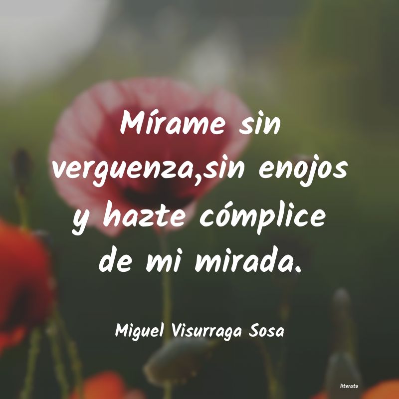 frases de Miguel Visurraga Sosa