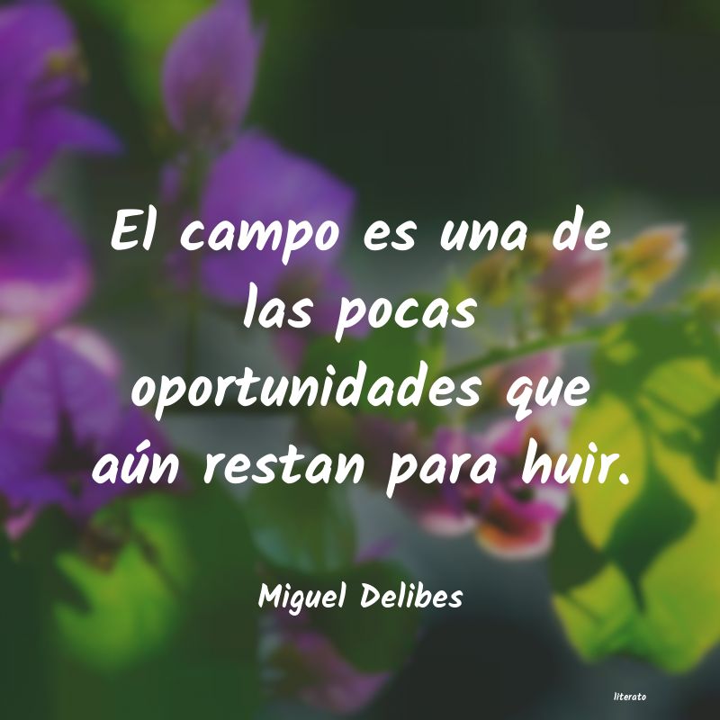 frases de Miguel Delibes