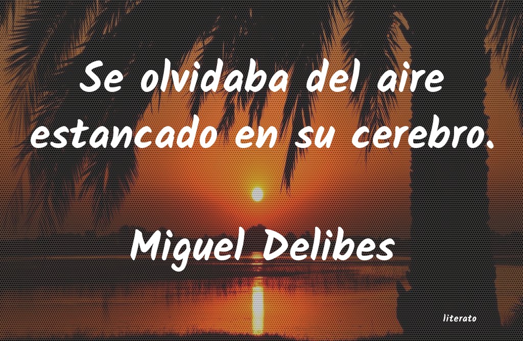 frases de Miguel Delibes