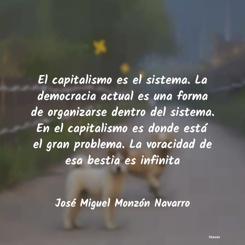 Frases de José Miguel Monzón Navarro