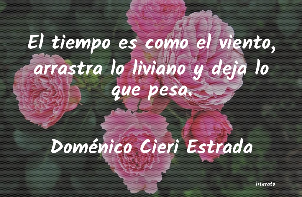 Frases de Doménico Cieri Estrada