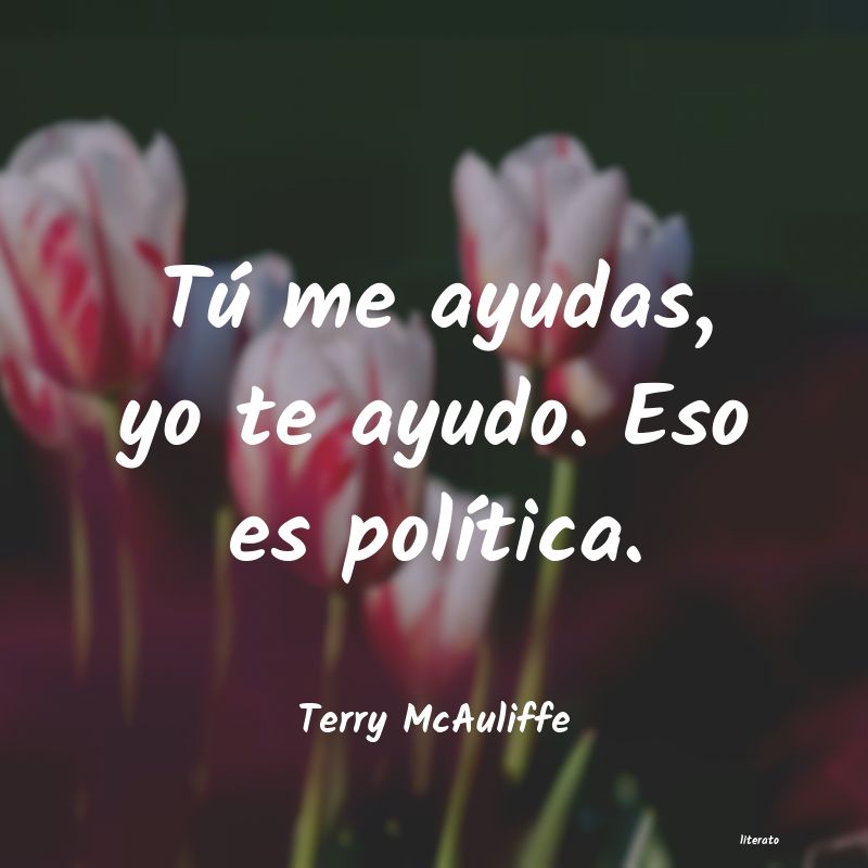 Frases de Terry McAuliffe