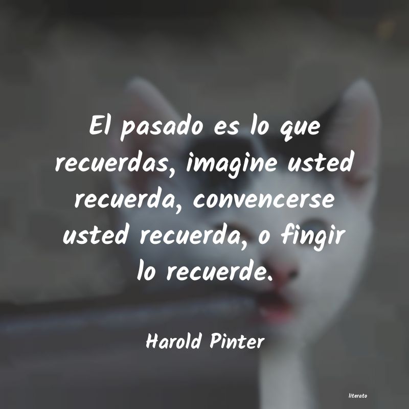 Frases de Harold Pinter