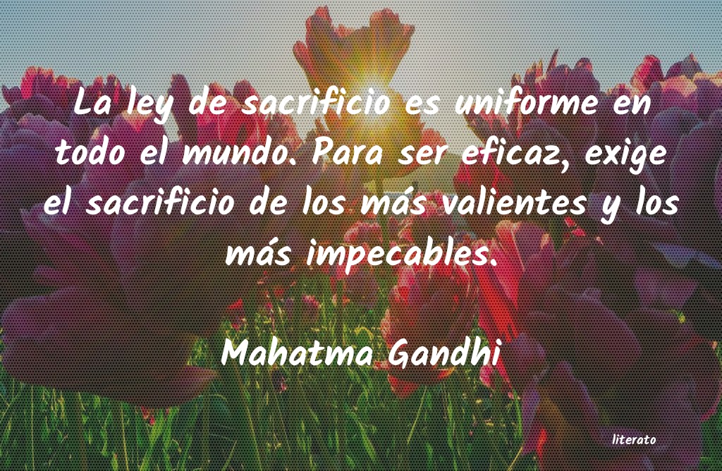 frases de sacrificio