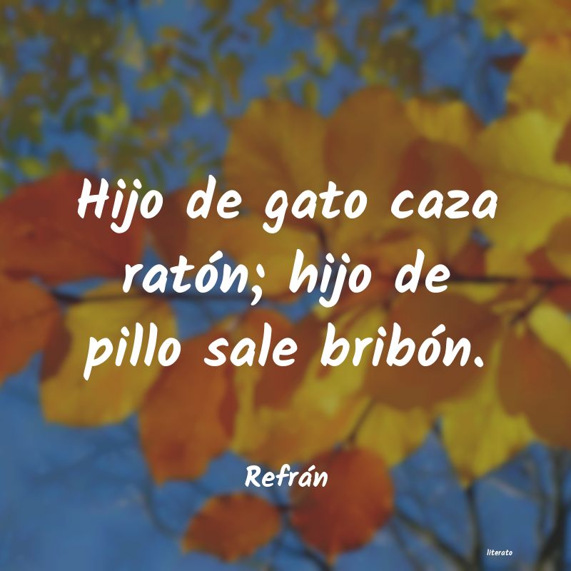 frases de RefrÃ¡n