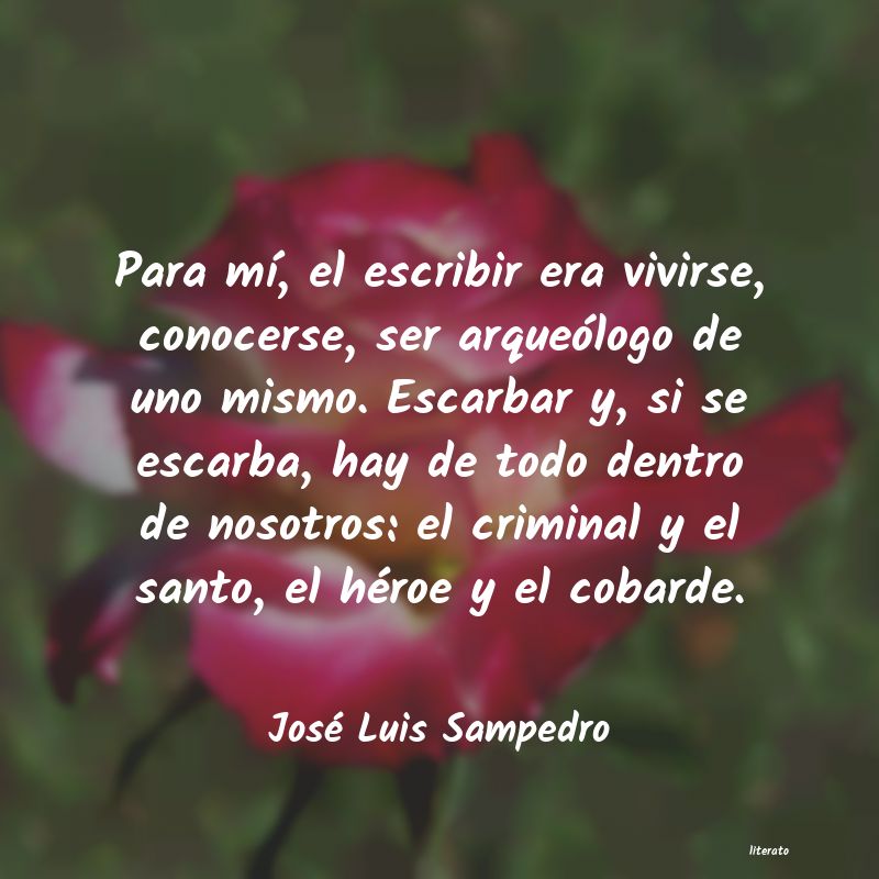 Frases de José Luis Sampedro