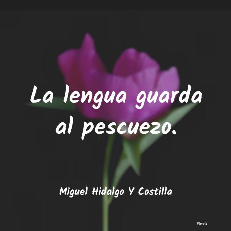 frases de Miguel Hidalgo Y Costilla