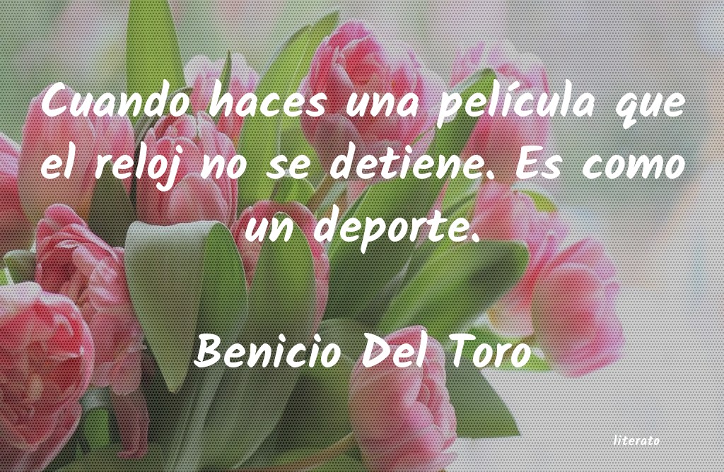 frases de Benicio Del Toro