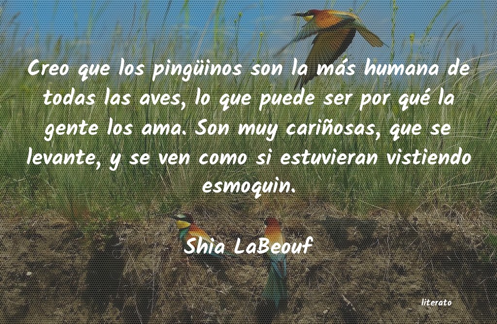 Frases de Shia LaBeouf