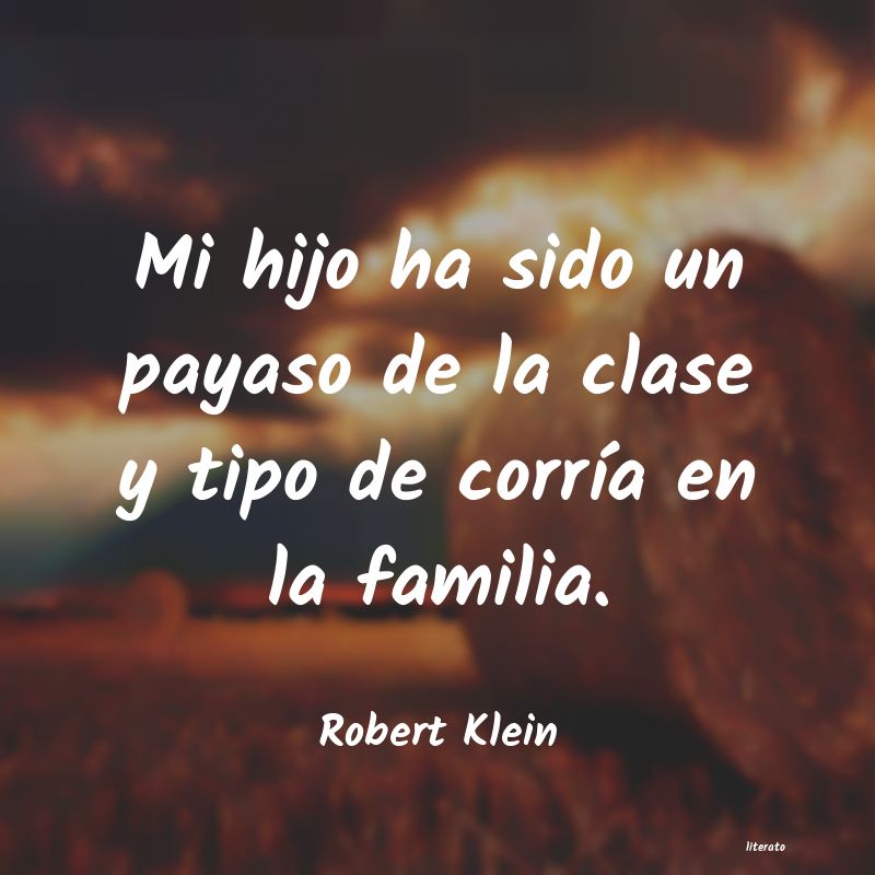 Frases de Robert Klein