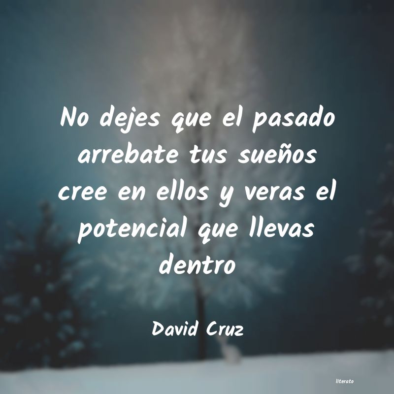 Frases de David Cruz