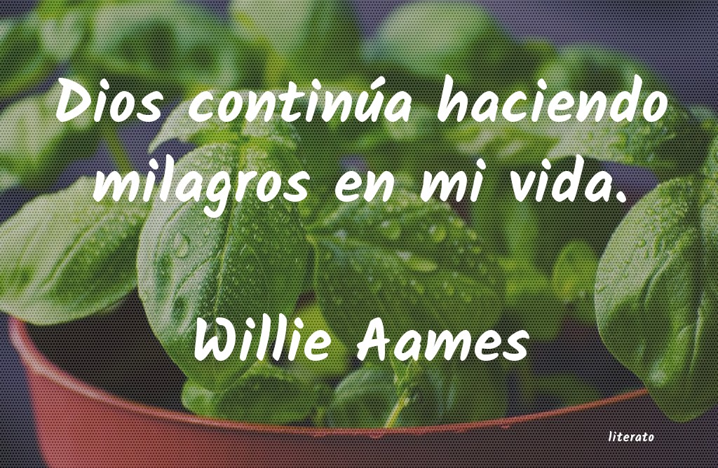 frases de Willie Aames