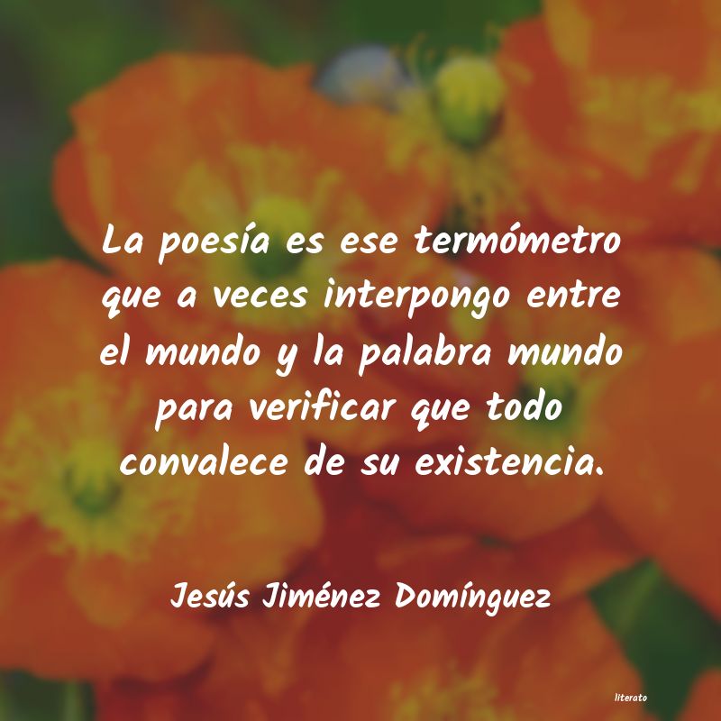 Frases de Jesús Jiménez Domínguez