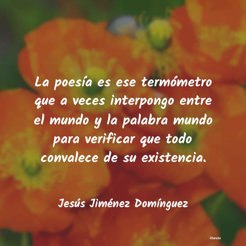 frases de Jesús Jiménez DomÃnguez