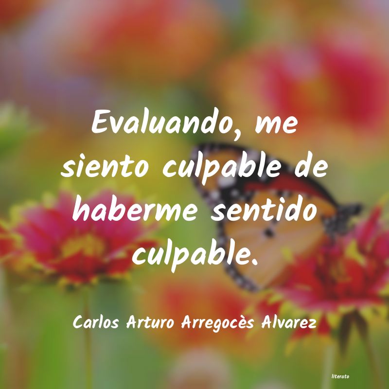 Frases de Carlos Arturo Arregocès Alvarez