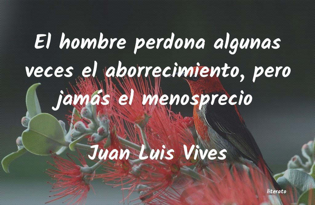 Frases de Juan Luis Vives