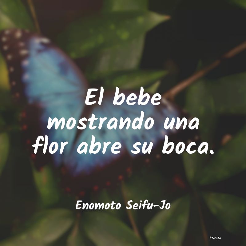frases de Enomoto Seifu-Jo