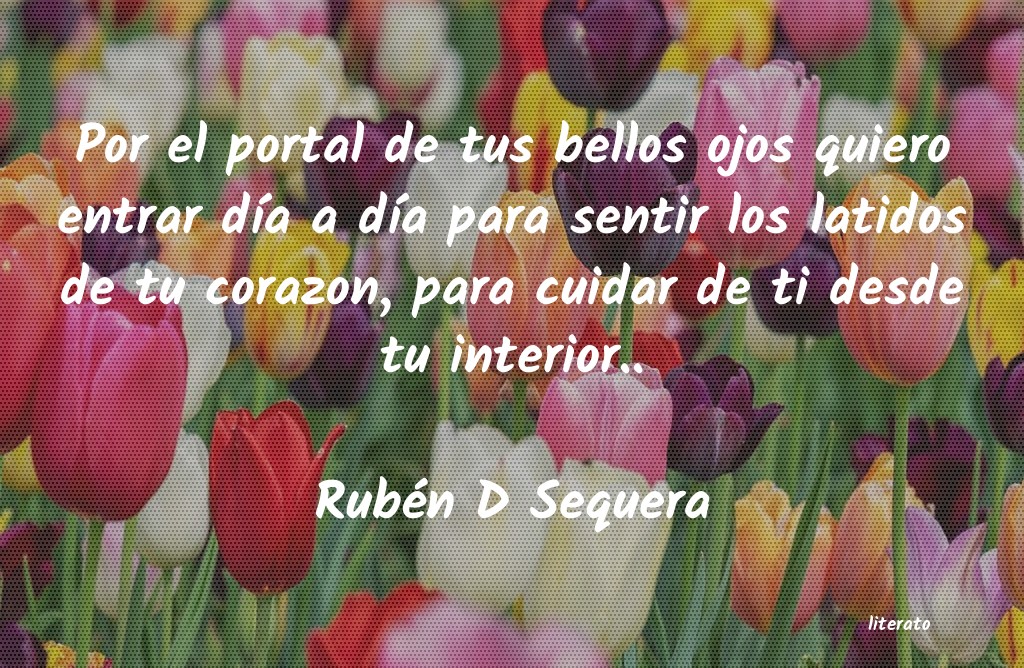 frases de Rubén D Sequera