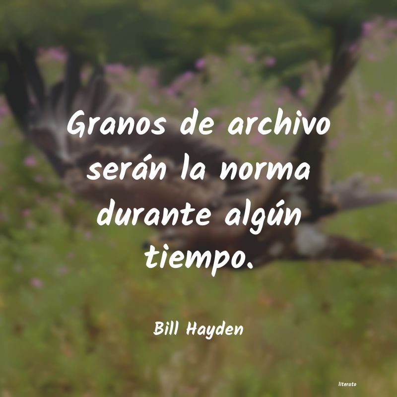 Frases de Bill Hayden