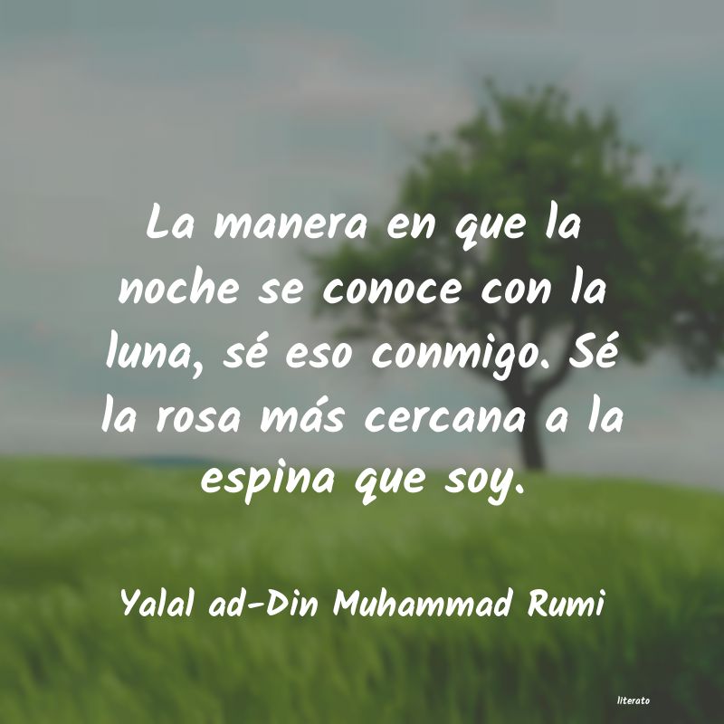 Frases de Yalal ad-Din Muhammad Rumi