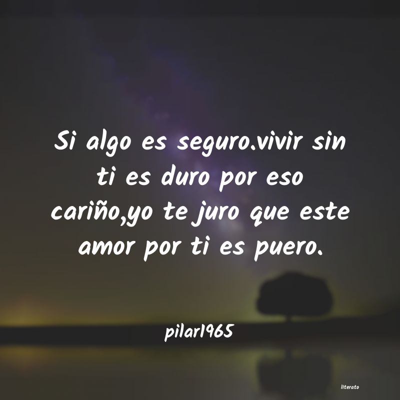 frases de pilar1965