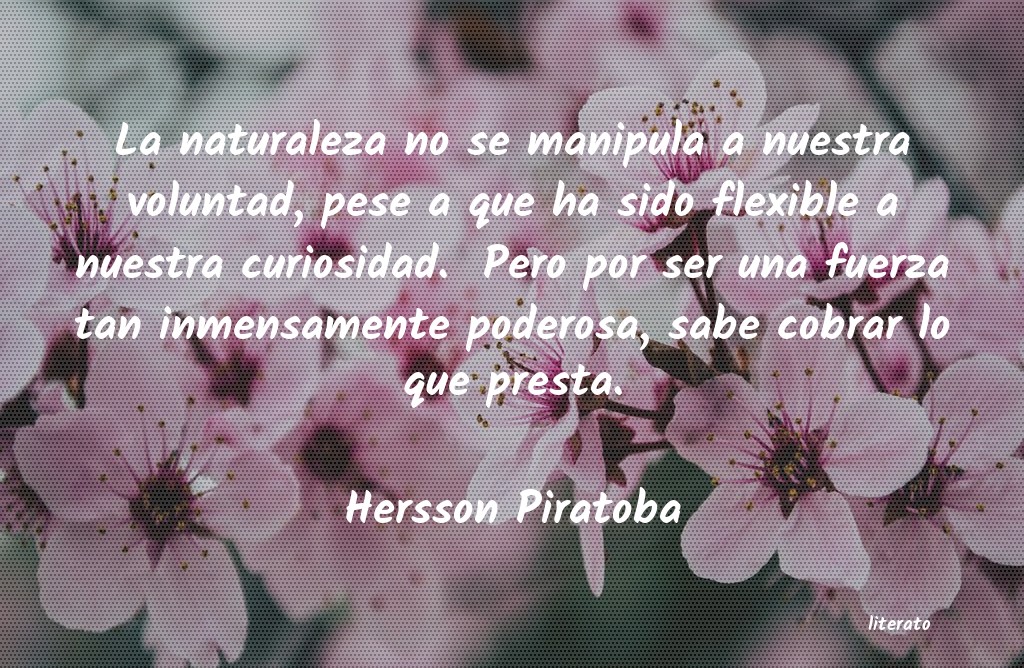 frases de Hersson Piratoba