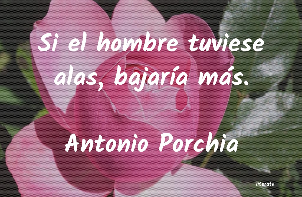 frases de Antonio Porchia