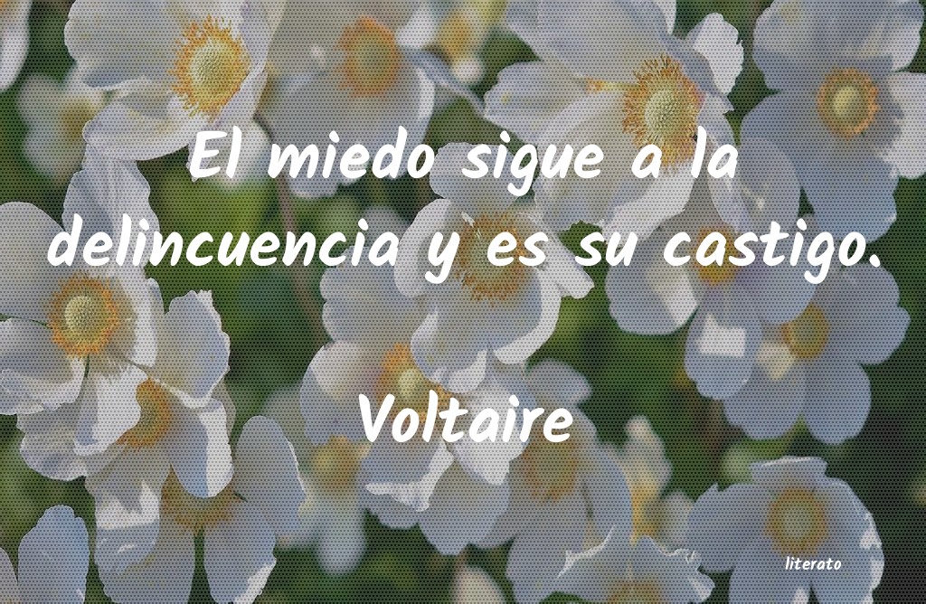 frases de Voltaire