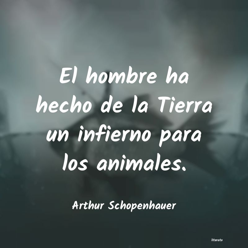 mÃºsica congelada schopenhauer