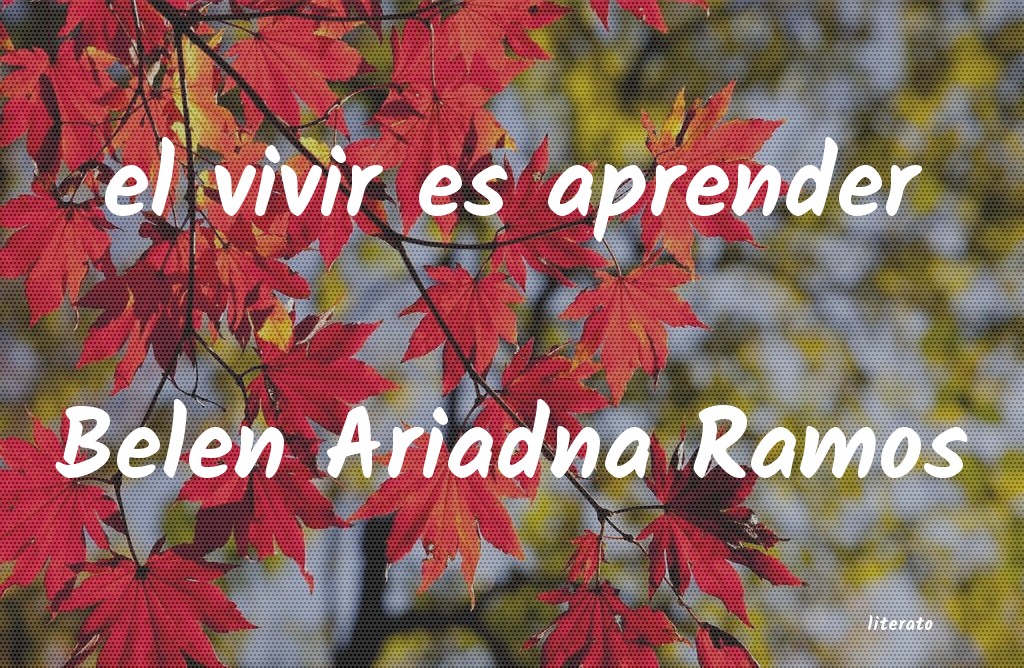 frases de Belen Ariadna Ramos