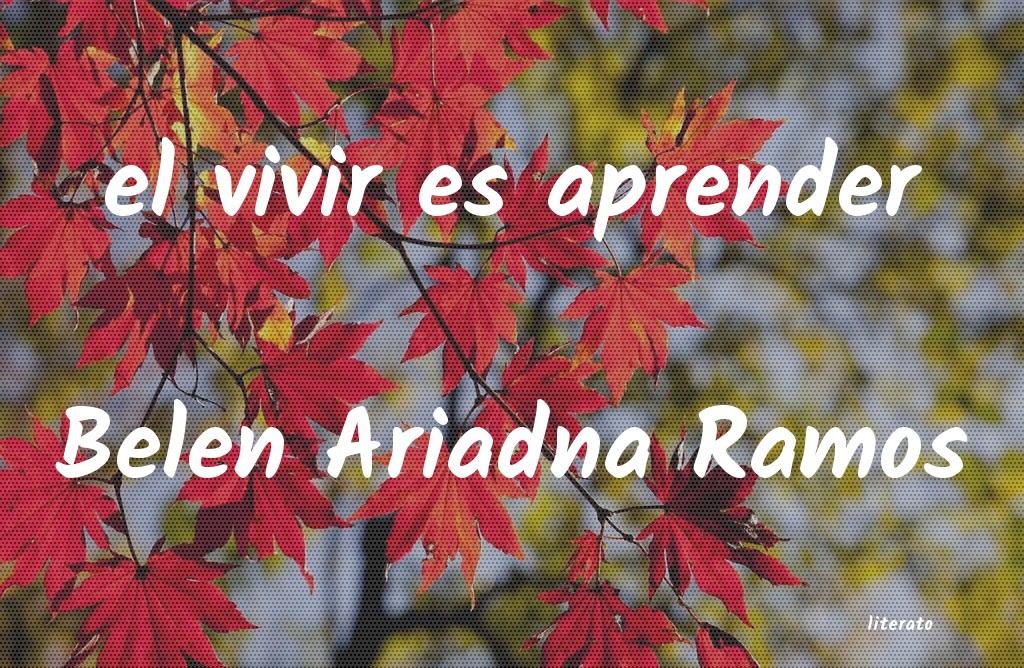 Frases de Belen Ariadna Ramos