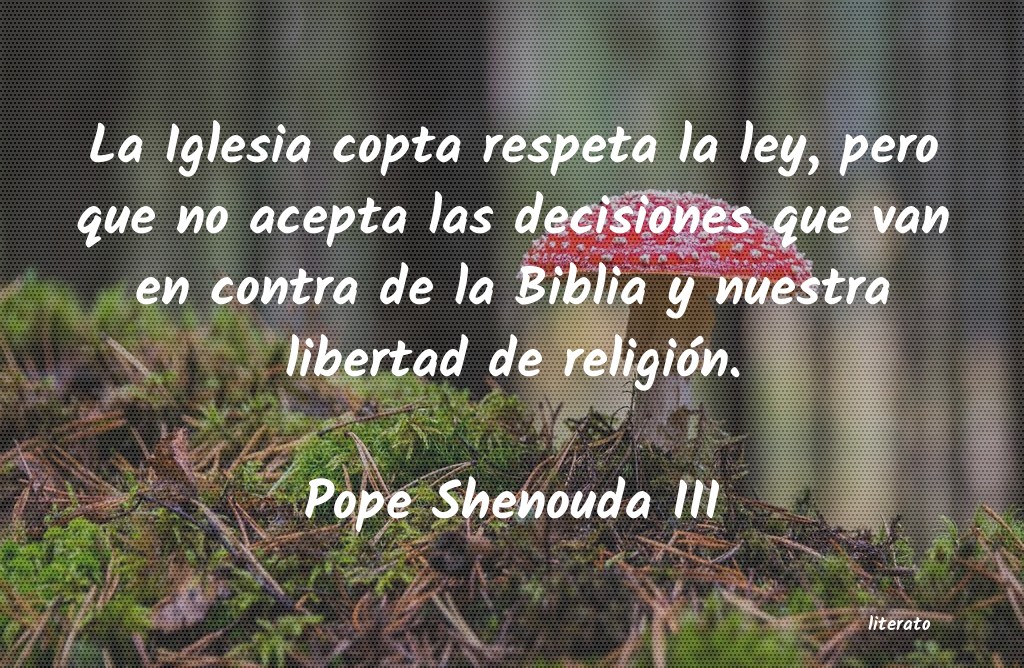 Frases de Pope Shenouda III