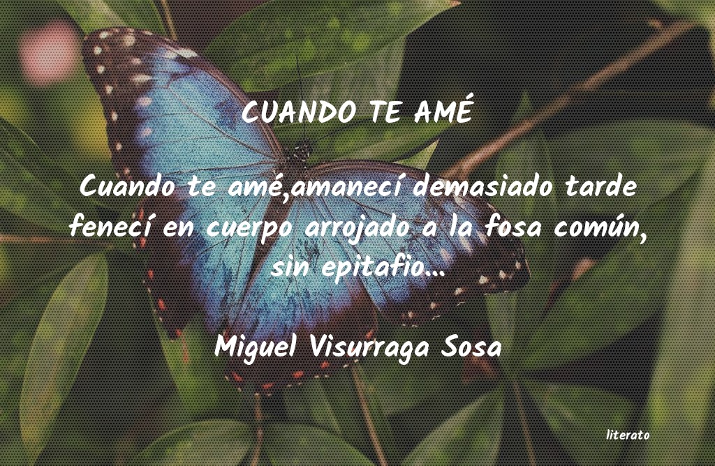 frases de Miguel Visurraga Sosa