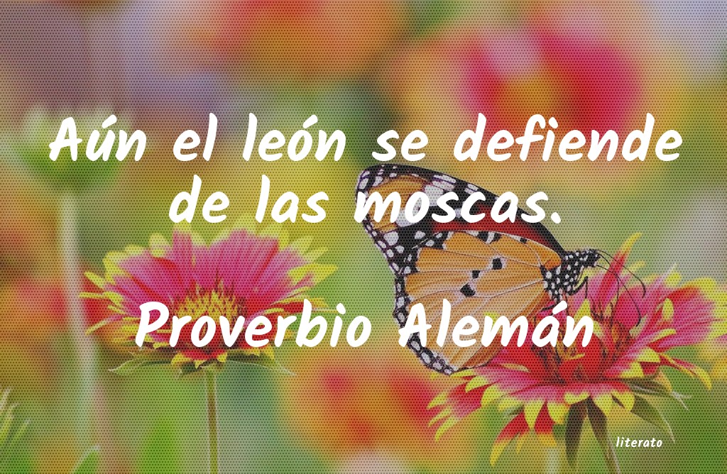 frases de Proverbio Alemán