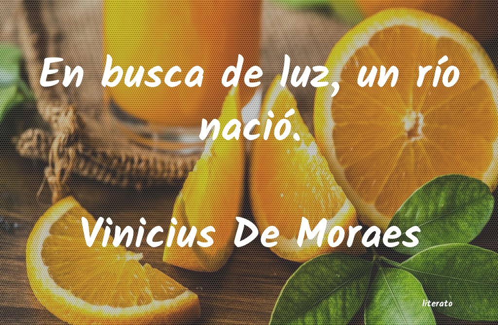 Frases de Vinicius De Moraes