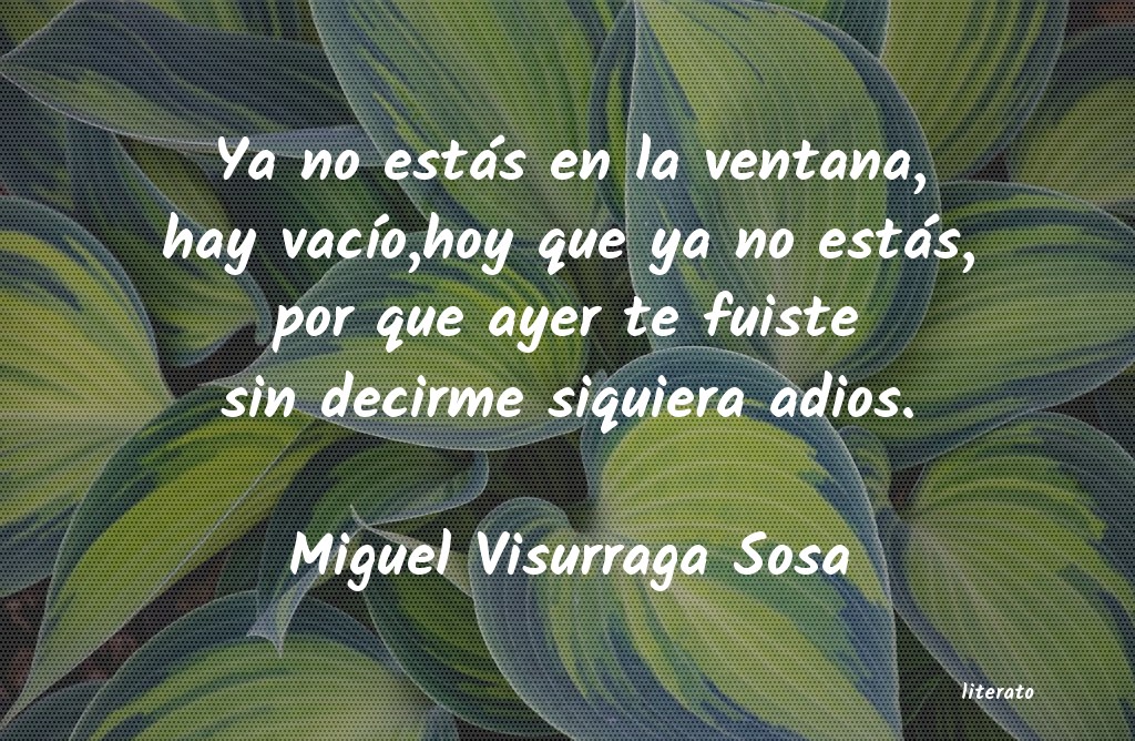 Frases de Miguel Visurraga Sosa