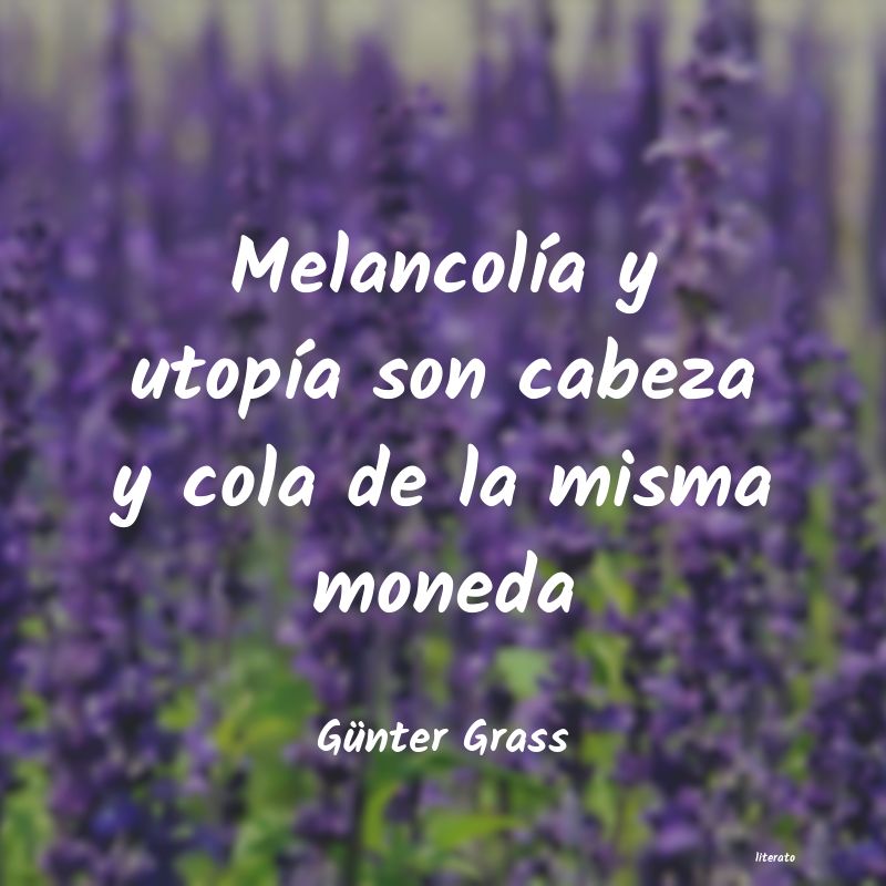 Frases de Günter Grass