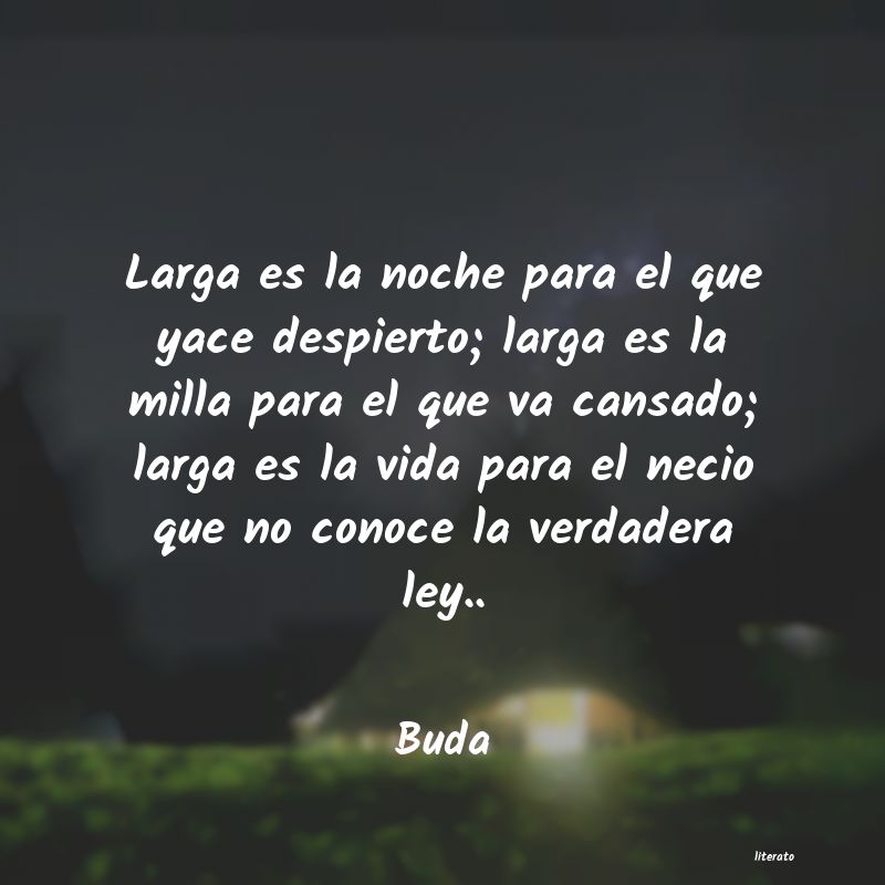 frases de buda sobre la vida