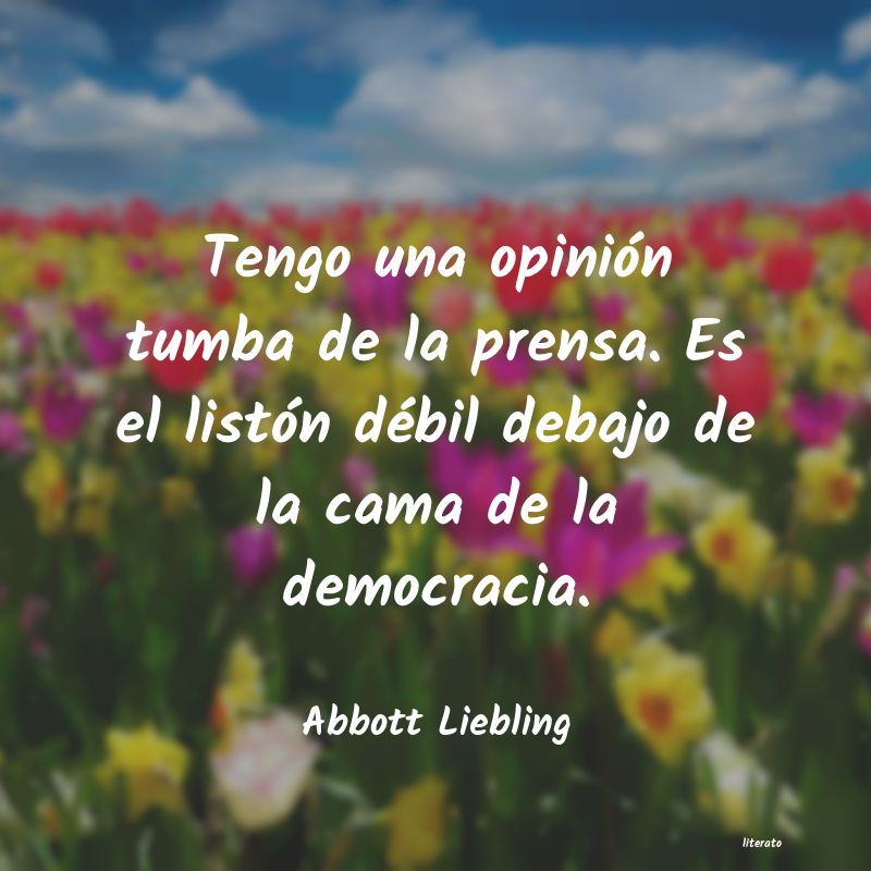 Frases de Abbott Liebling