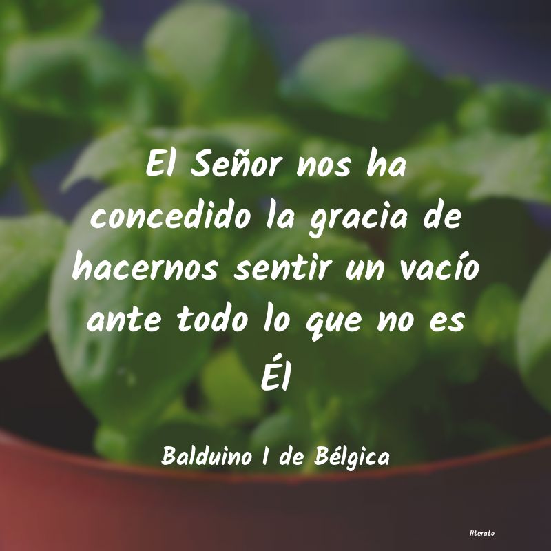 frases de Balduino I de Bélgica