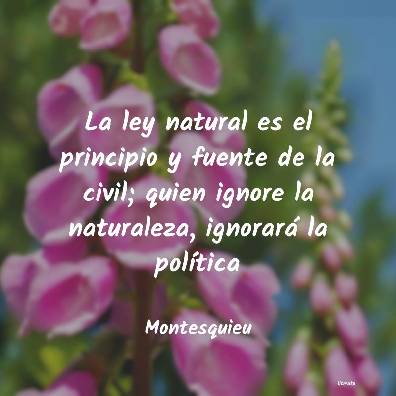 Frases de Montesquieu