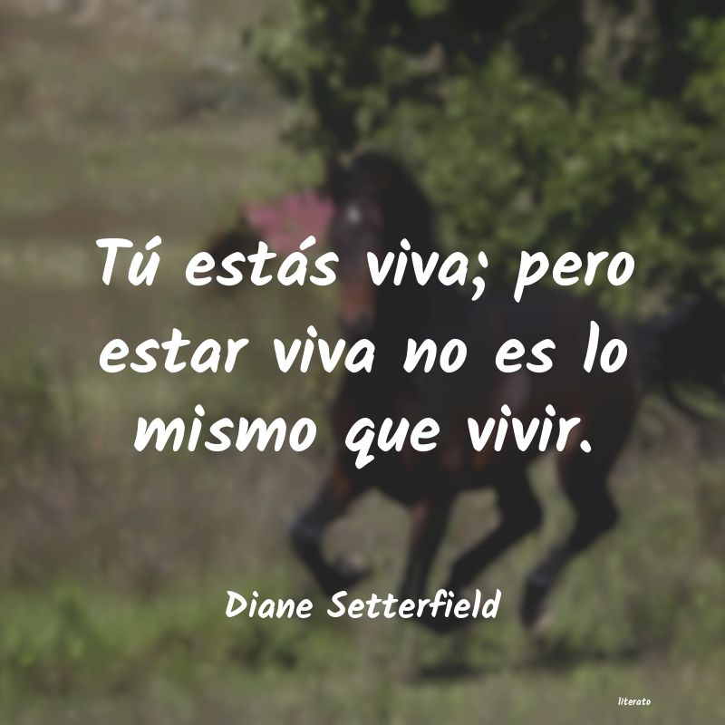 Frases de Diane Setterfield