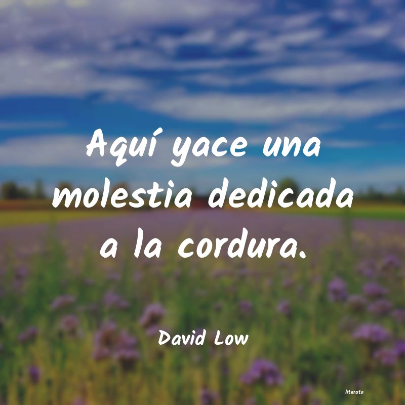 Frases de David Low