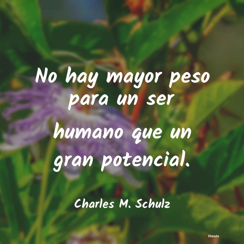 Frases de Charles M. Schulz