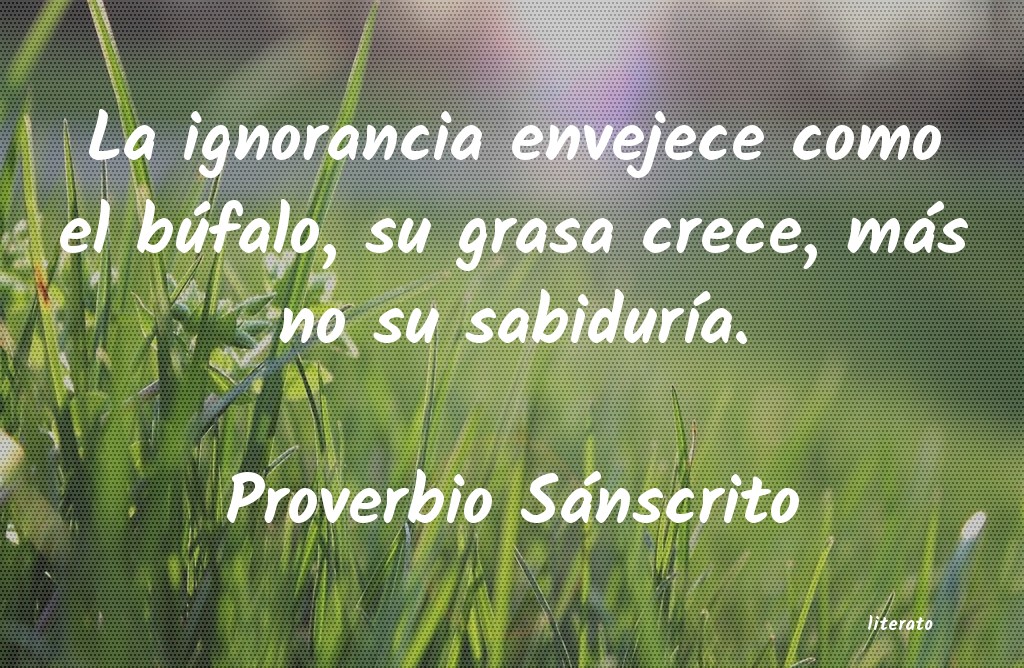 Frases de Proverbio Sánscrito