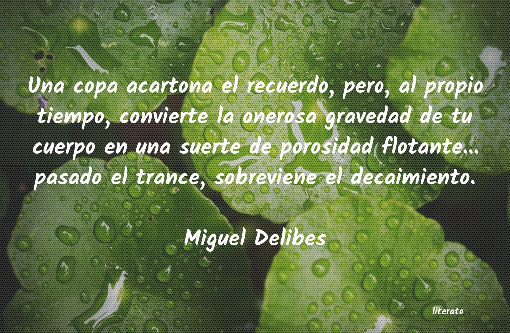 Frases de Miguel Delibes